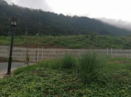  Land for sale in Talisay, Batangas, Talisay