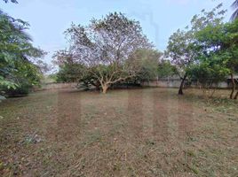 Terrain à vendre à Coatzacoalcos, Veracruz, Coatzacoalcos