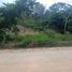  Land for sale in Coatepec, Veracruz, Coatepec