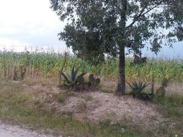  Grundstück zu verkaufen in Celaya, Guanajuato, Celaya