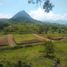 3 Bedroom Condo for sale in Venecia, Antioquia, Venecia