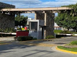  Land for sale in Zapopan, Jalisco, Zapopan