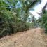  Land for sale in Tagbilaran City, Bohol, Tagbilaran City