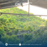  Terreno (Parcela) en venta en Cebu City, Central Visayas, Cebu City, Cebu, Central Visayas, Filipinas