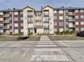 3 Habitación Departamento en venta en Los Lagos, Puerto Montt, Llanquihue, Los Lagos