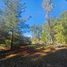  Land for sale in Chile, El Tabo, San Antonio, Valparaiso, Chile