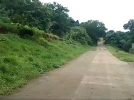  Land for sale in Calatagan, Batangas, Calatagan