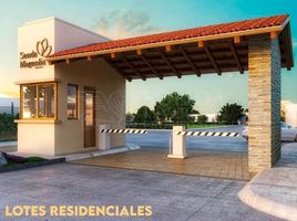  Grundstück zu verkaufen in Puerto Vallarta, Jalisco, Puerto Vallarta