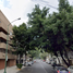 3 Schlafzimmer Appartement zu verkaufen in Miguel Hidalgo, Mexico City, Miguel Hidalgo