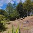  Land for sale in Mineral Del Chico, Hidalgo, Mineral Del Chico