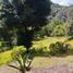  Land for sale in Mineral Del Chico, Hidalgo, Mineral Del Chico