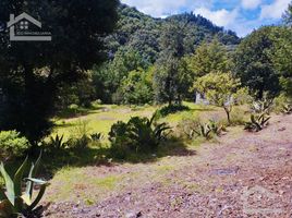  Land for sale in Mineral Del Chico, Hidalgo, Mineral Del Chico