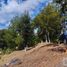  Land for sale in Mineral Del Chico, Hidalgo, Mineral Del Chico