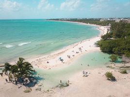  Grundstück zu verkaufen in Cozumel, Quintana Roo, Cozumel