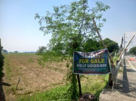  Land for sale in Pililla, Rizal, Pililla