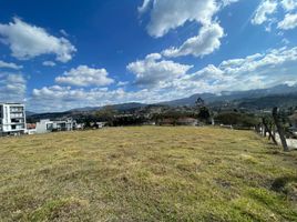  Land for sale in Loja, Loja, Loja, Loja