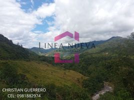  Land for sale in Mira, Carchi, Jijon Y Caamano Cab En Rio Blanco, Mira