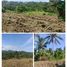  Land for sale in Cebu Central Visayas, Sibonga