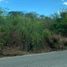  Land for sale in Motul, Yucatan, Motul