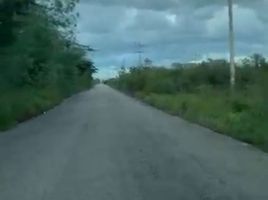  Land for sale in Motul, Yucatan, Motul