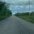  Land for sale in Motul, Yucatan, Motul