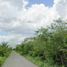  Land for sale in Motul, Yucatan, Motul
