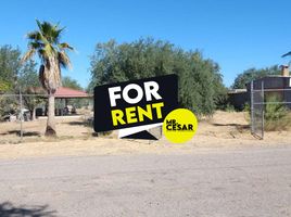  Land for rent in Hermosillo, Sonora, Hermosillo, Sonora