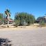  Land for rent in Hermosillo, Sonora, Hermosillo, Sonora