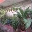 1 Schlafzimmer Appartement zu vermieten in Coatzacoalcos, Veracruz, Coatzacoalcos, Veracruz