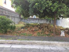  Terreno (Parcela) en venta en Muntinlupa City, Metro Manila, Muntinlupa City, Southern District, Metro Manila