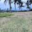  Land for sale in Cebu Central Visayas, Barili