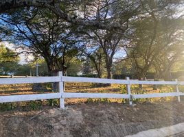  Terreno (Parcela) en venta en Tumbaco, Pichincha, Tumbaco