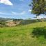  Land for sale in Marinilla, Antioquia, Marinilla