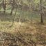  Land for sale in Los Rios, Mariquina, Valdivia, Los Rios