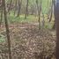  Land for sale in Los Rios, Mariquina, Valdivia, Los Rios