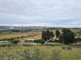  Terreno (Parcela) en venta en Chile, Viña del Mar, Valparaíso, Valparaíso, Chile