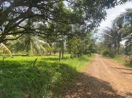  Land for sale in Bukidnon, Northern Mindanao, Libona, Bukidnon