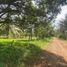  Land for sale in Libona, Northern Mindanao, Libona