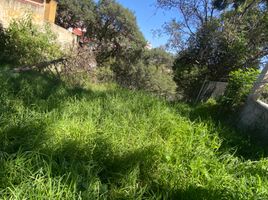  Terreno (Parcela) en venta en México, Nicolas Romero, México