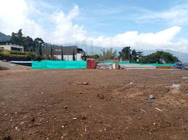  Land for sale in Envigado, Antioquia, Envigado