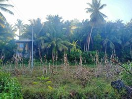  Land for sale in Samboan, Cebu, Samboan