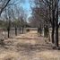  Land for sale in Abasolo, Guanajuato, Abasolo