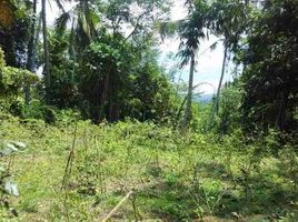  Land for sale in Penebel, Tabanan, Penebel