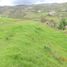  Land for sale in Tarqui, Azuay, Tarqui