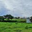  Land for sale at Nusa Dua, Tanza, Cavite