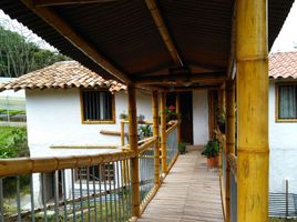 12 Bedroom House for sale in Antioquia, Medellin, Antioquia