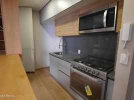 2 Bedroom Apartment for rent in Miguel Hidalgo, Mexico City, Miguel Hidalgo