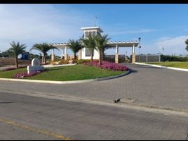  Grundstück zu verkaufen in Manglaralto, Santa Elena, Manglaralto, Santa Elena, Santa Elena, Ecuador
