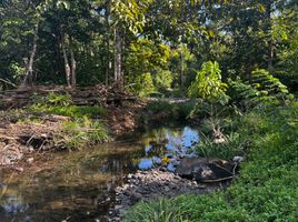  Terrain for sale in Puerto Princesa City, Palawan, Puerto Princesa City