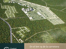  Grundstück zu verkaufen in Conkal, Yucatan, Conkal